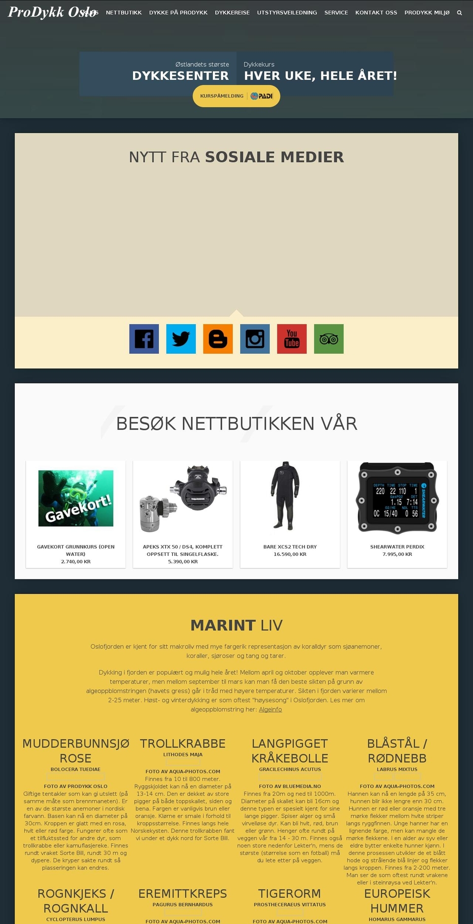 prodykk.no shopify website screenshot