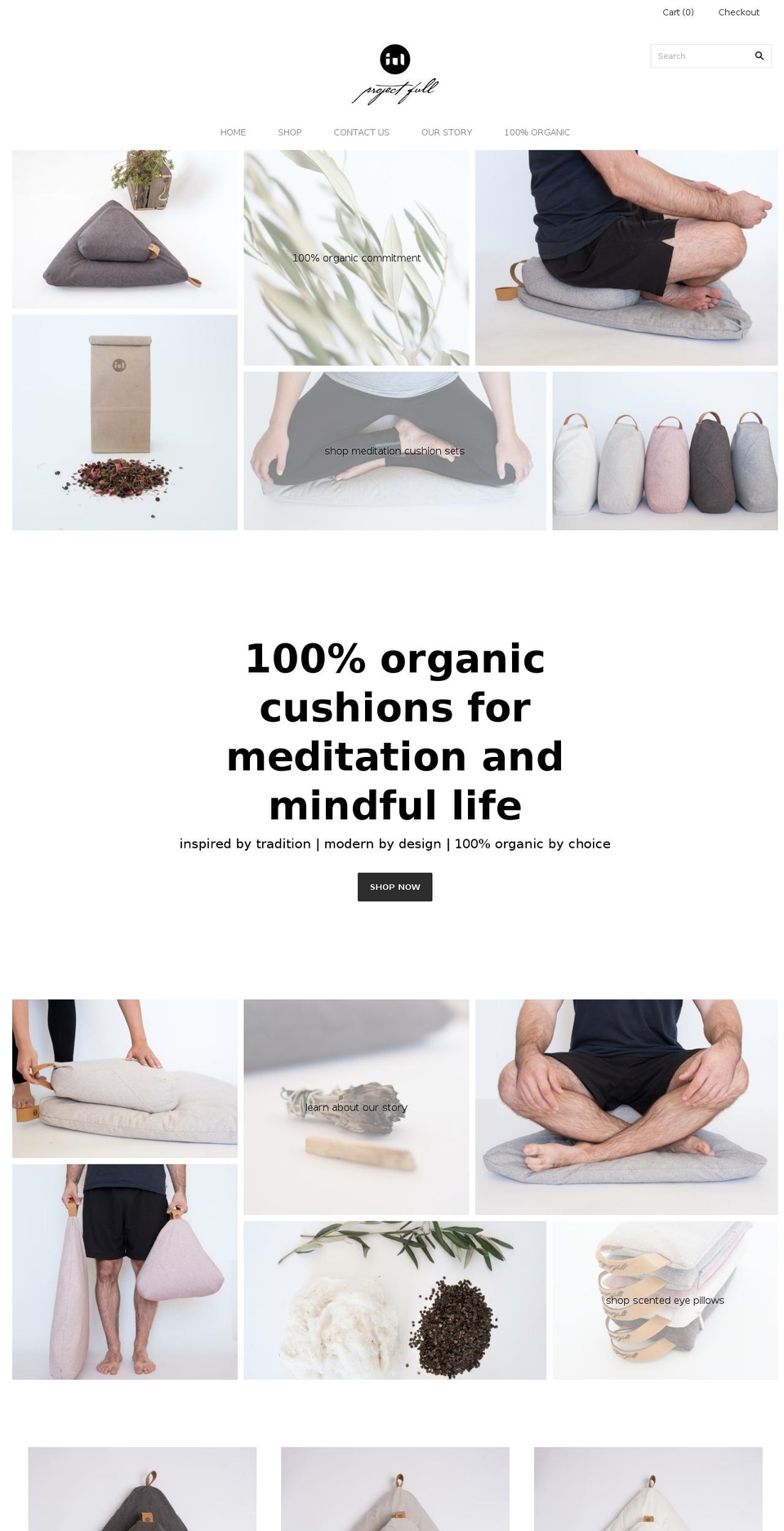 projectfull.com shopify website screenshot