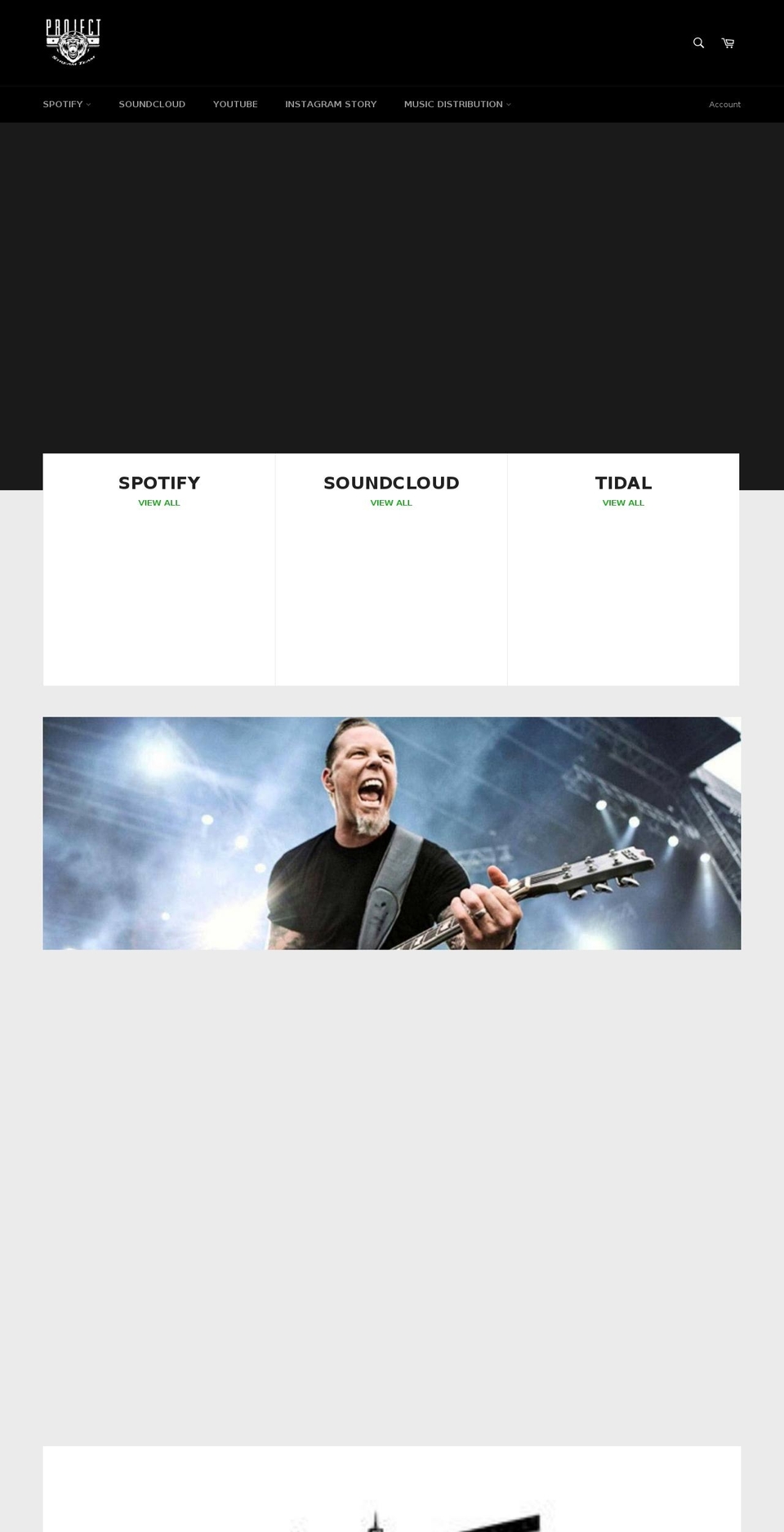 projectstreamteam.com — Shopify storefront screenshot