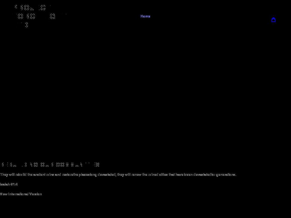 projecttorchlight.org shopify website screenshot