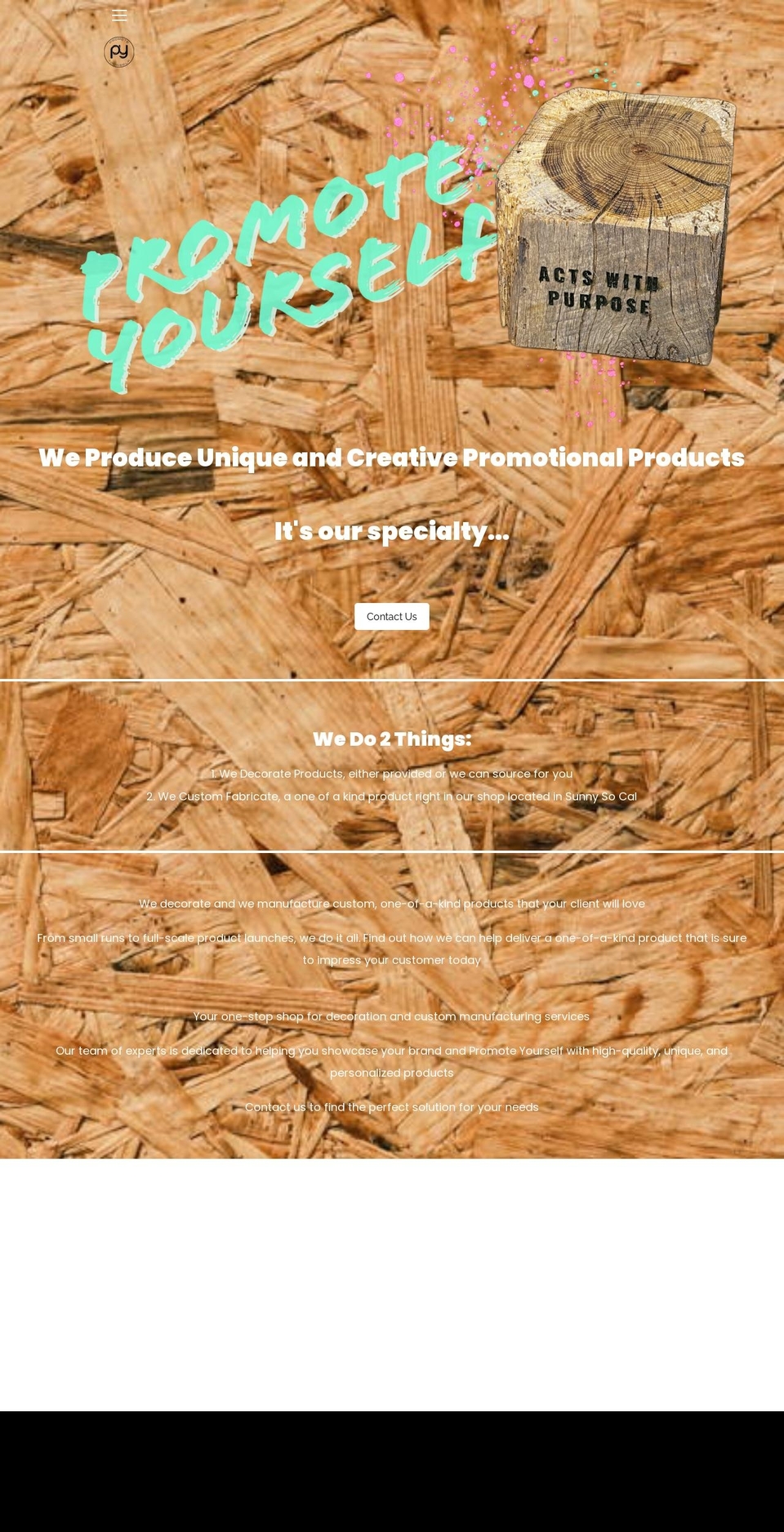 promoteyourselfinc.com shopify website screenshot
