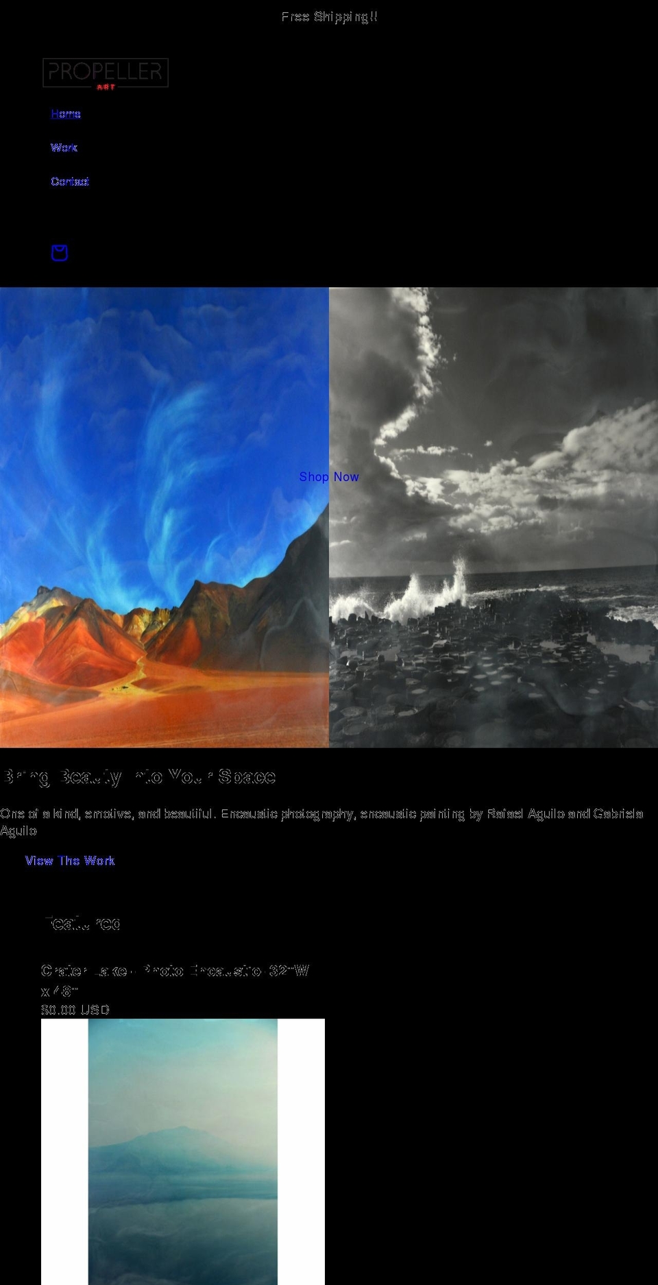 propellerart.net shopify website screenshot