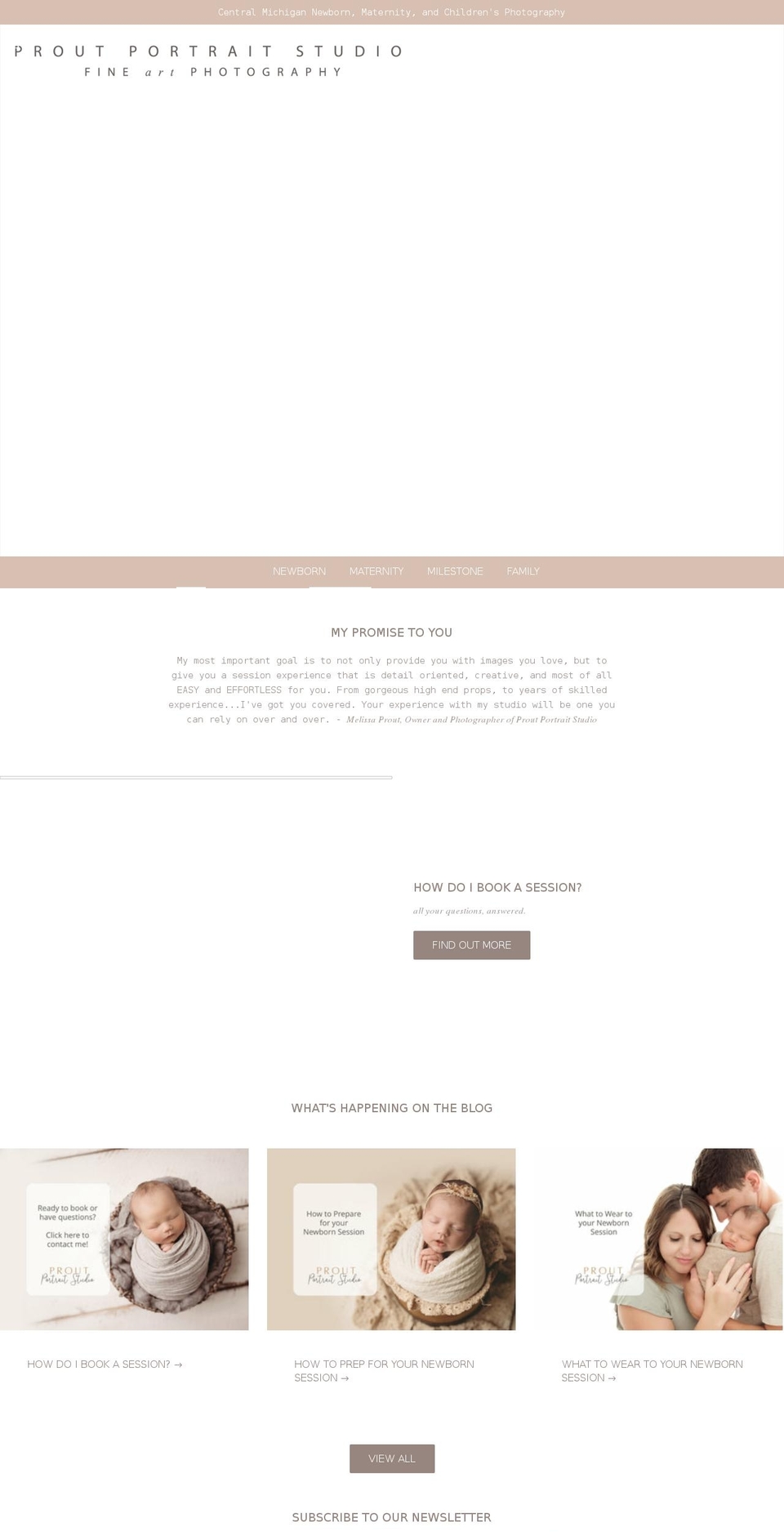 proutportrait.com shopify website screenshot