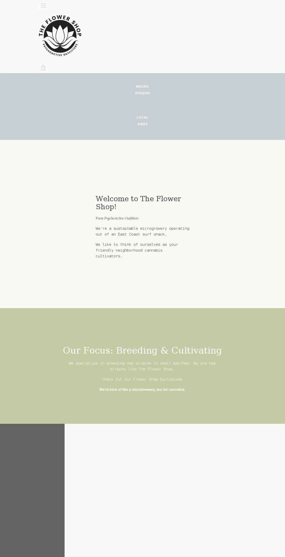 psychoactiveoutfitters.com shopify website screenshot