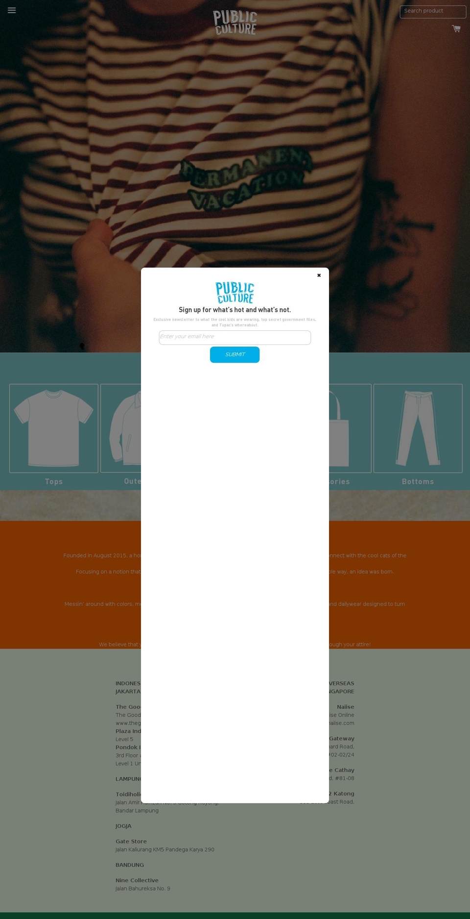 public-culture.com shopify website screenshot