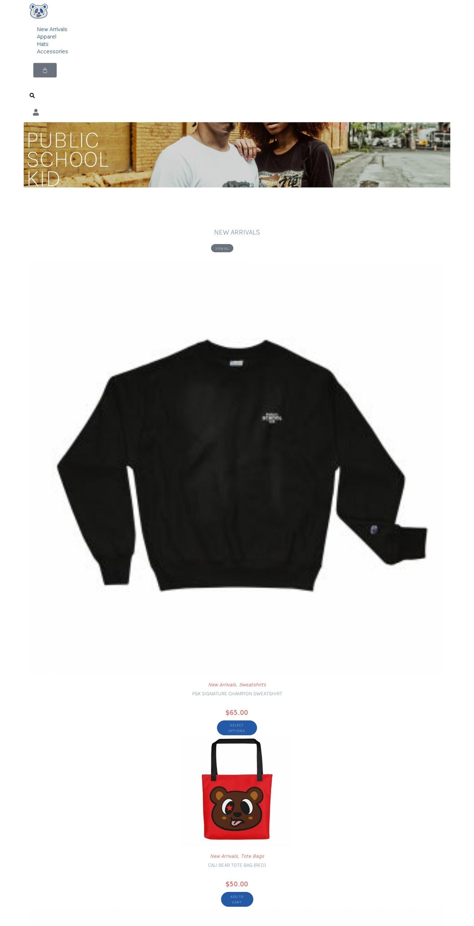 publicschoolkid.com — Shopify storefront screenshot
