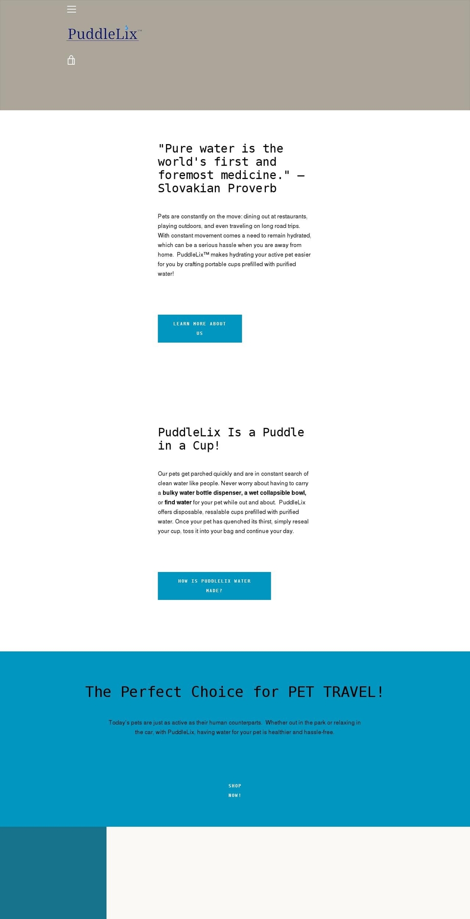 puddlelix.com shopify website screenshot