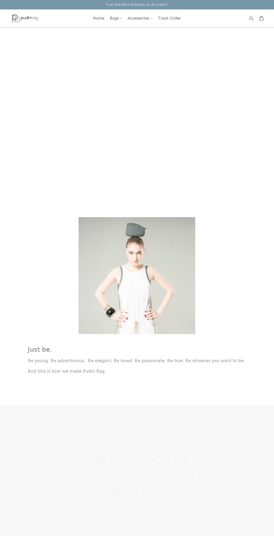 pudinbag.com — Shopify storefront screenshot