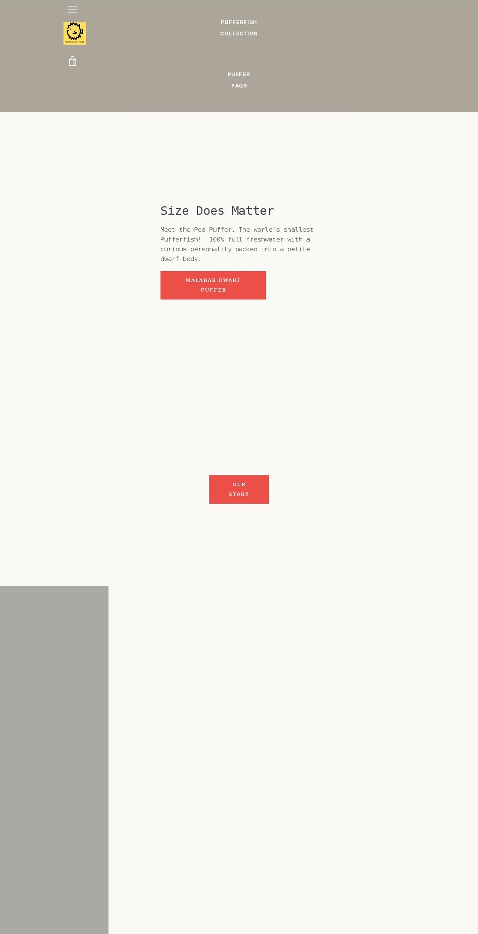 puffercentral.com shopify website screenshot