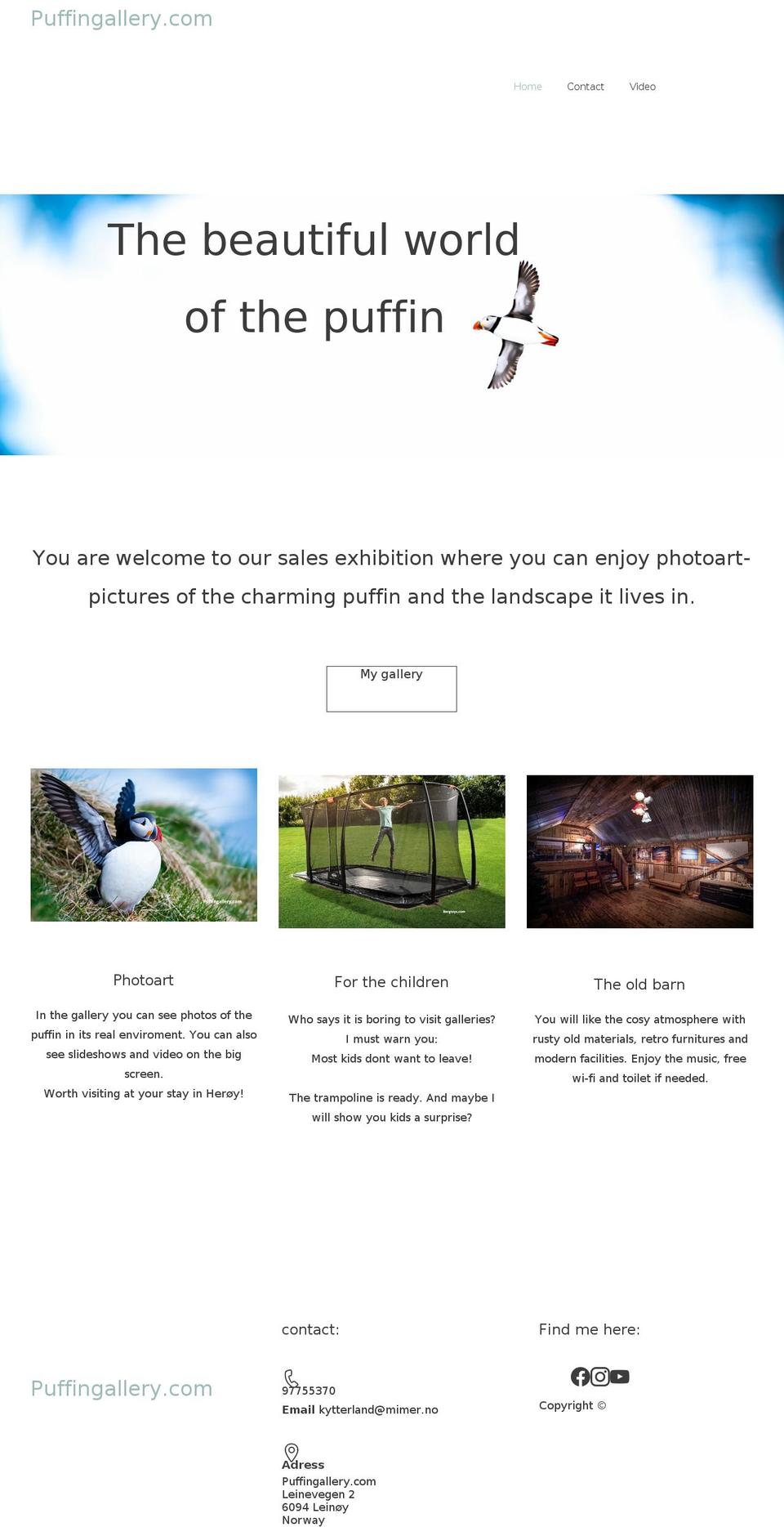 puffingallery.com — Shopify storefront screenshot