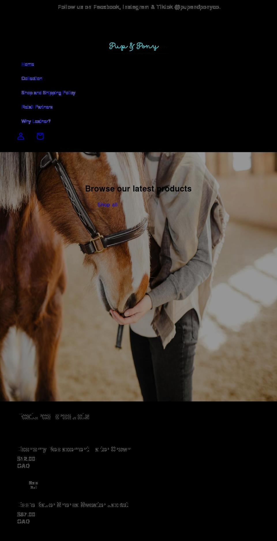 pupandponyco.com — Shopify storefront screenshot