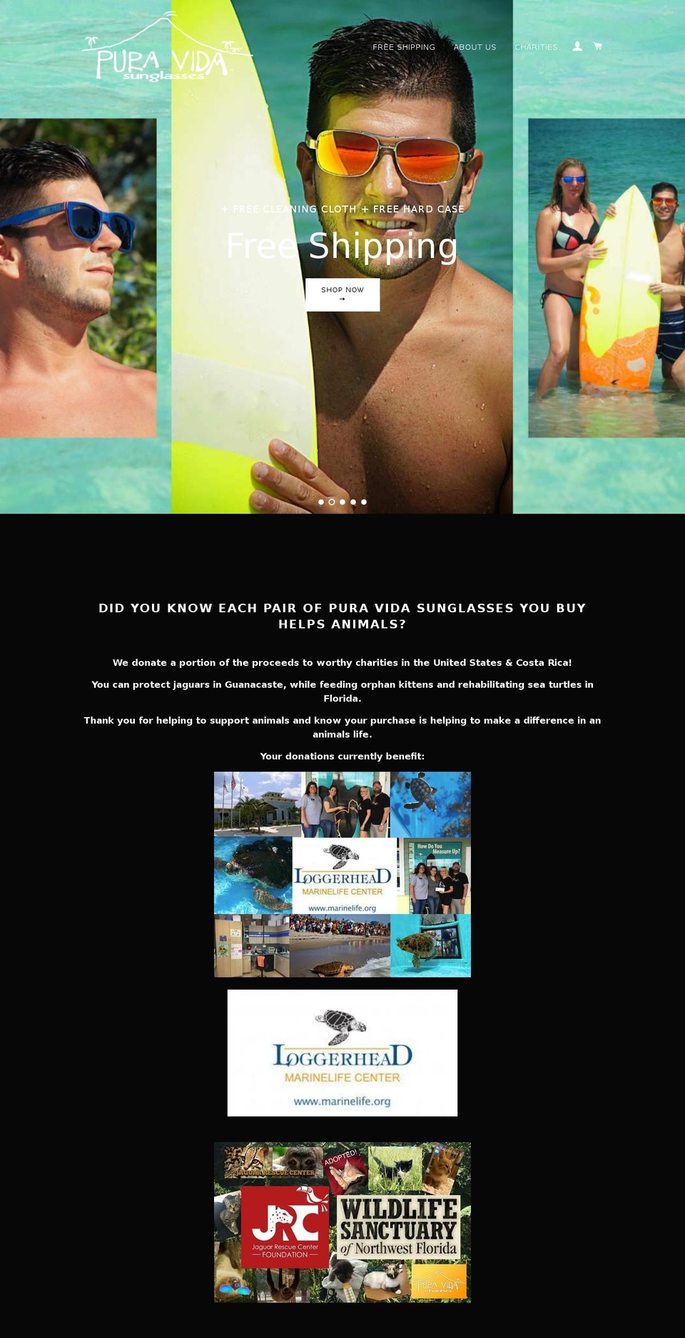 puravidacharities.net shopify website screenshot