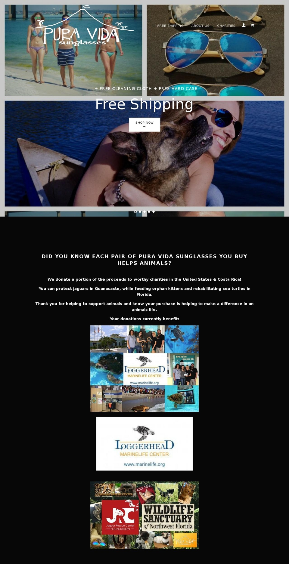 puravidatshirt.com — Shopify storefront screenshot