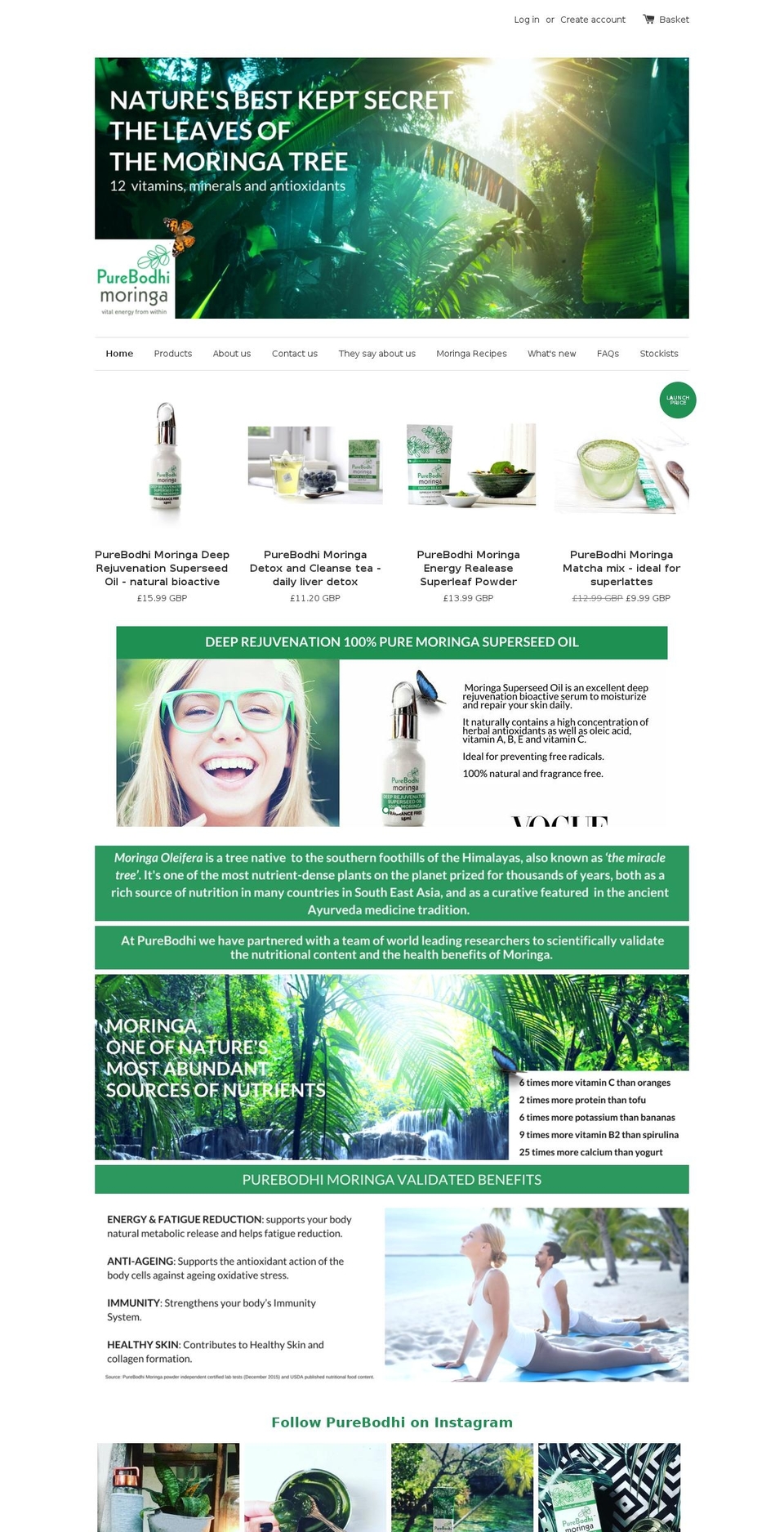 purebodhimoringa.com shopify website screenshot