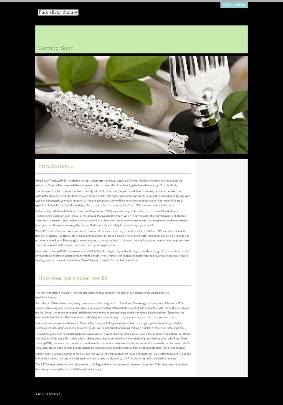 puresilvertherapy.com shopify website screenshot