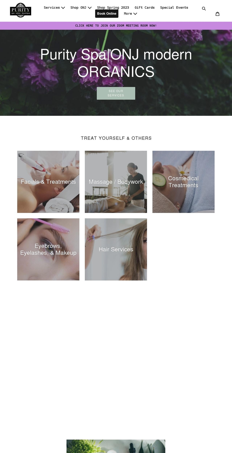 purityspa.net shopify website screenshot