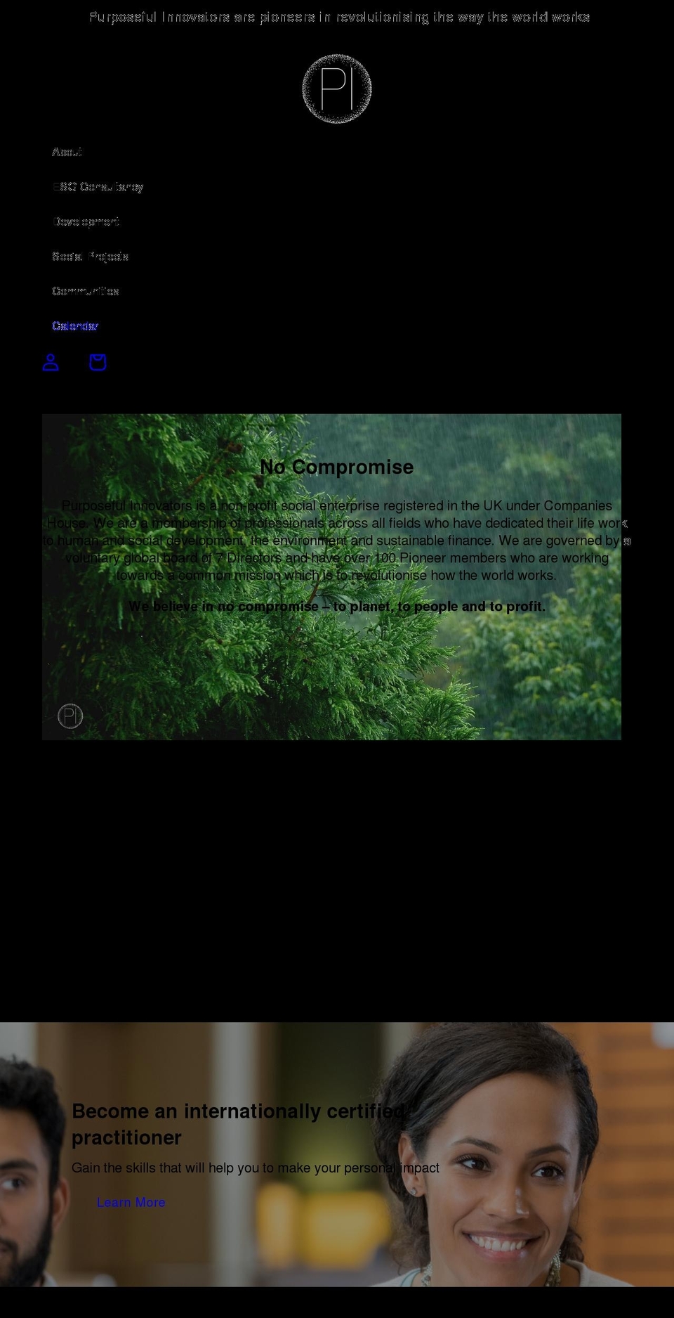 purposefulinnovators.org shopify website screenshot