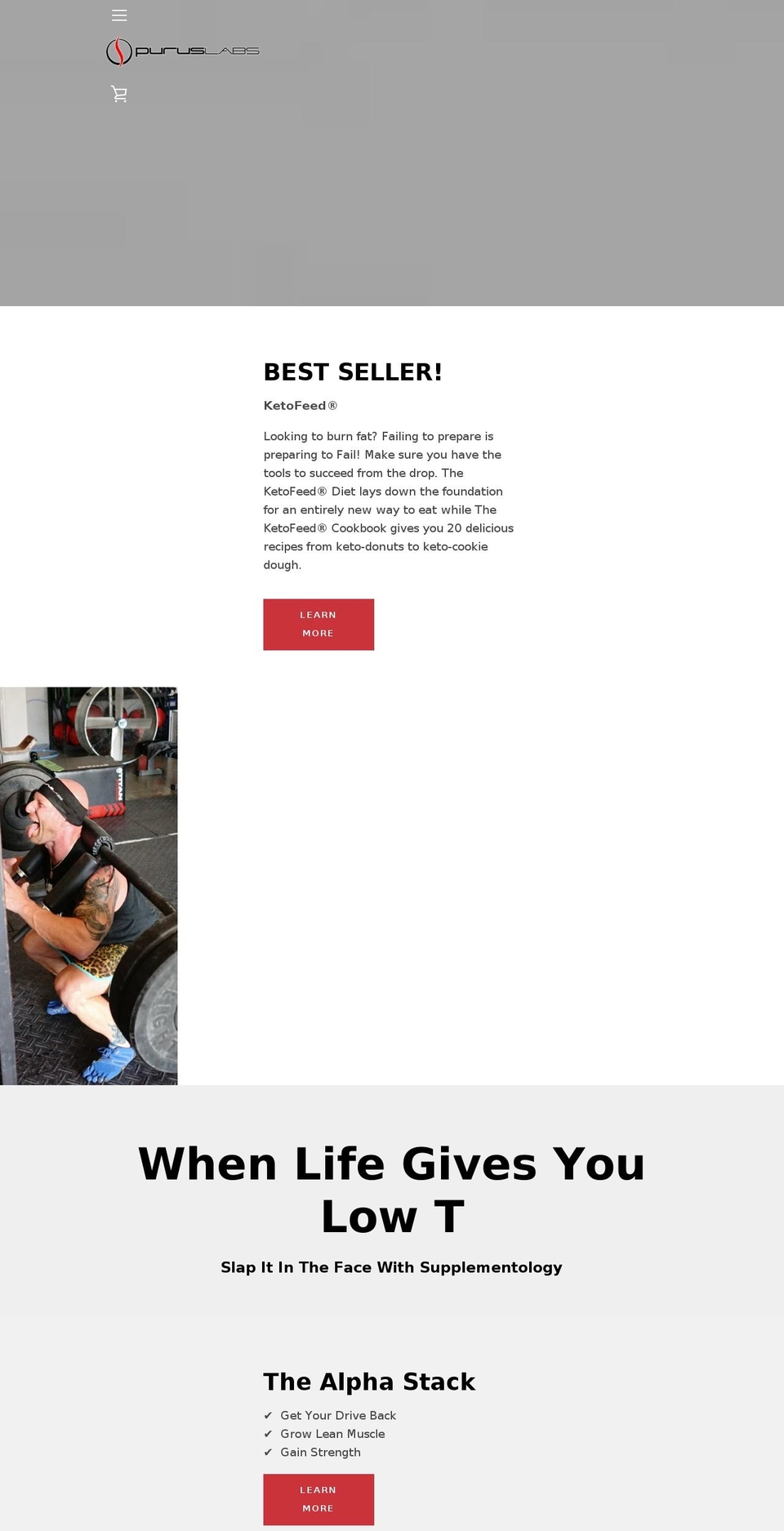 puruslabs.net shopify website screenshot
