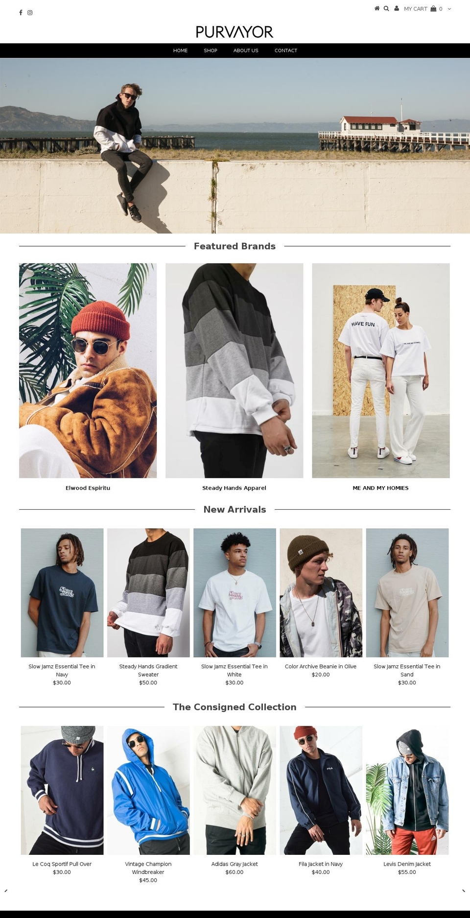 purvayor.com — Shopify storefront screenshot