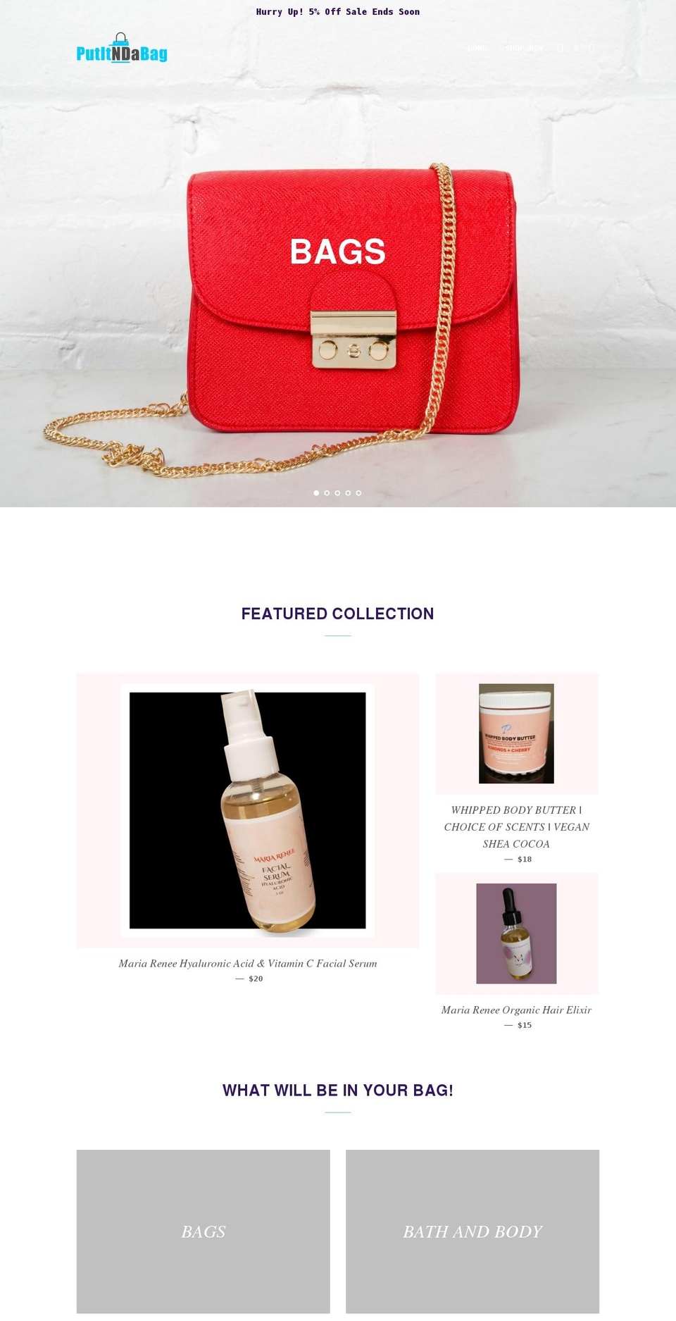 putitndabag.com shopify website screenshot