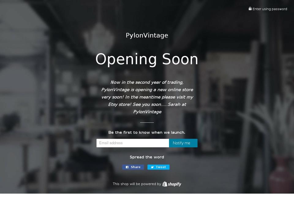 pylonvintage.com — Shopify storefront screenshot