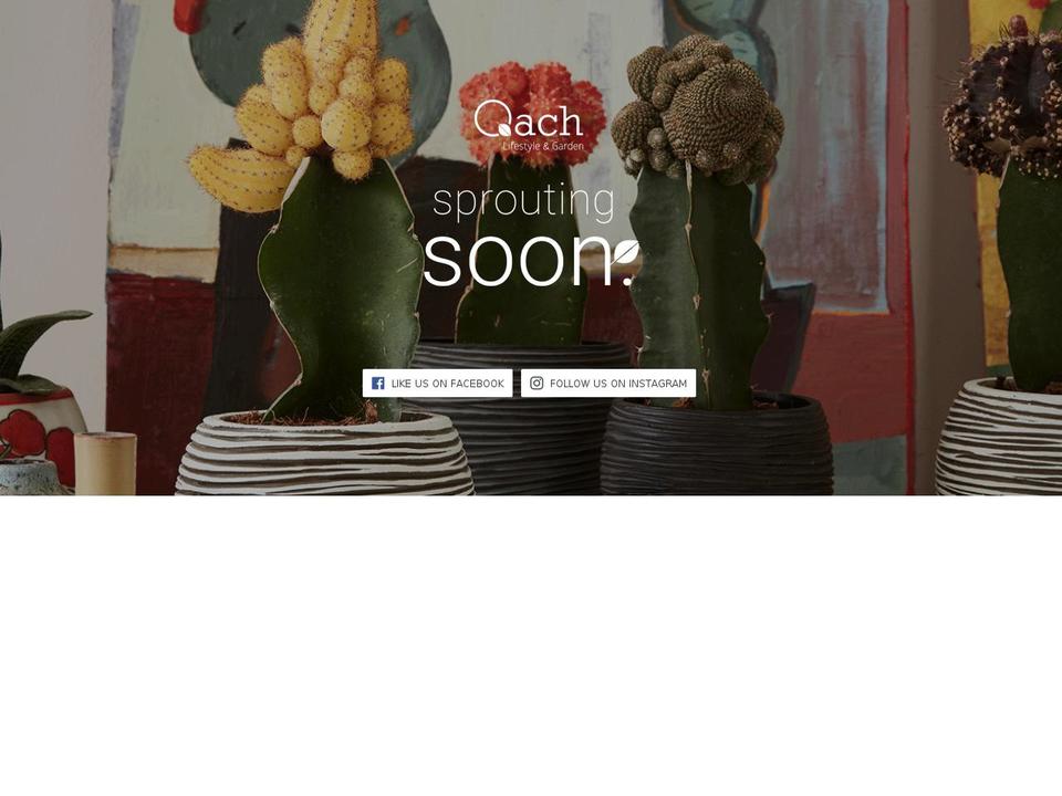 qachinc.com shopify website screenshot