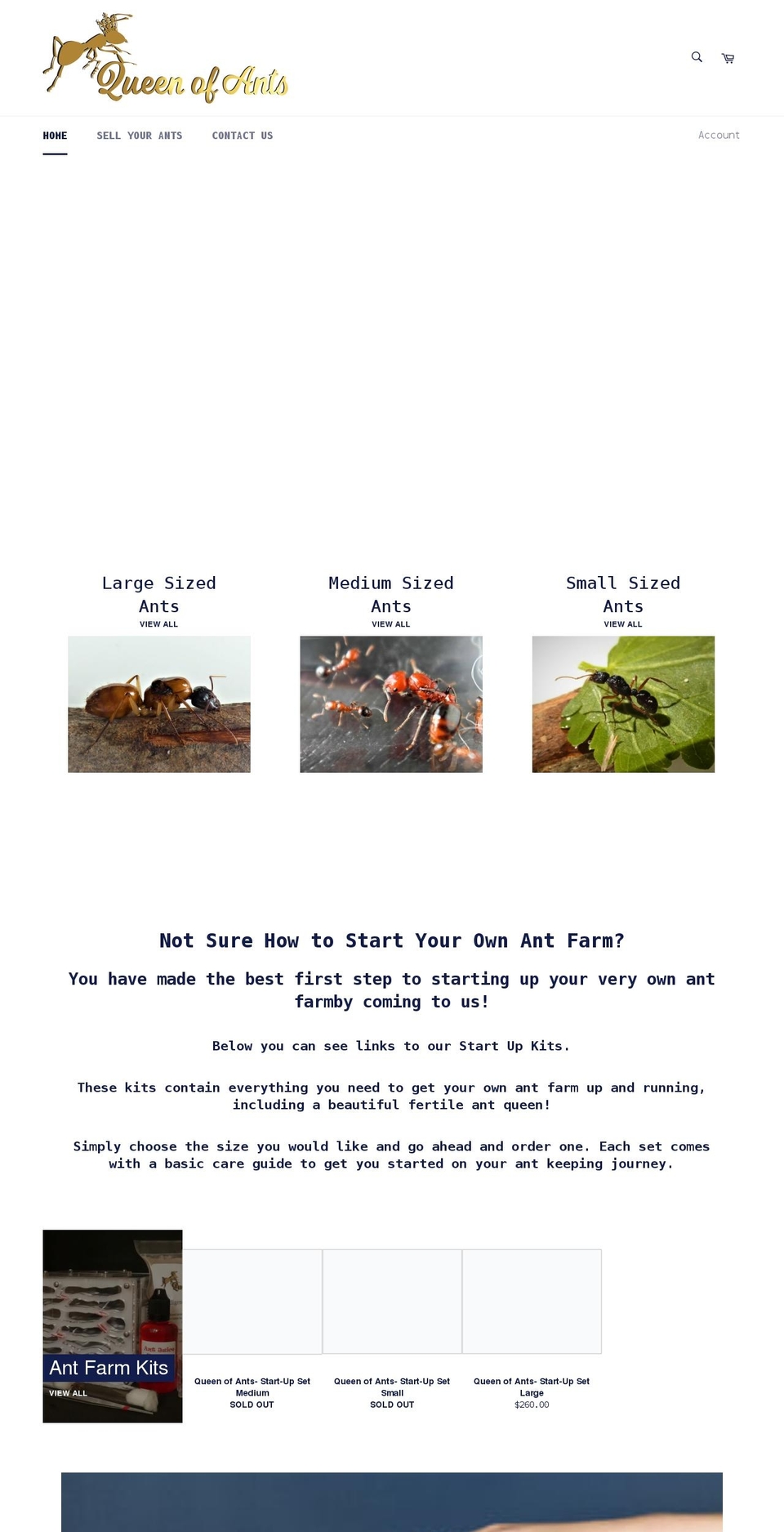 queenofants.com.au shopify website screenshot