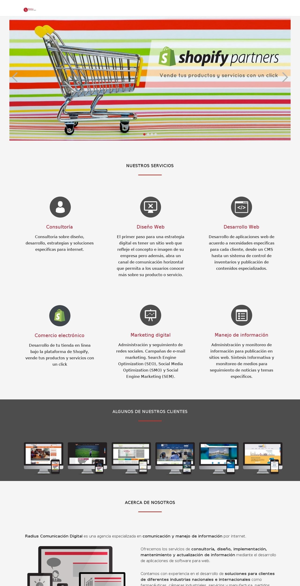 radiusboston.com shopify website screenshot