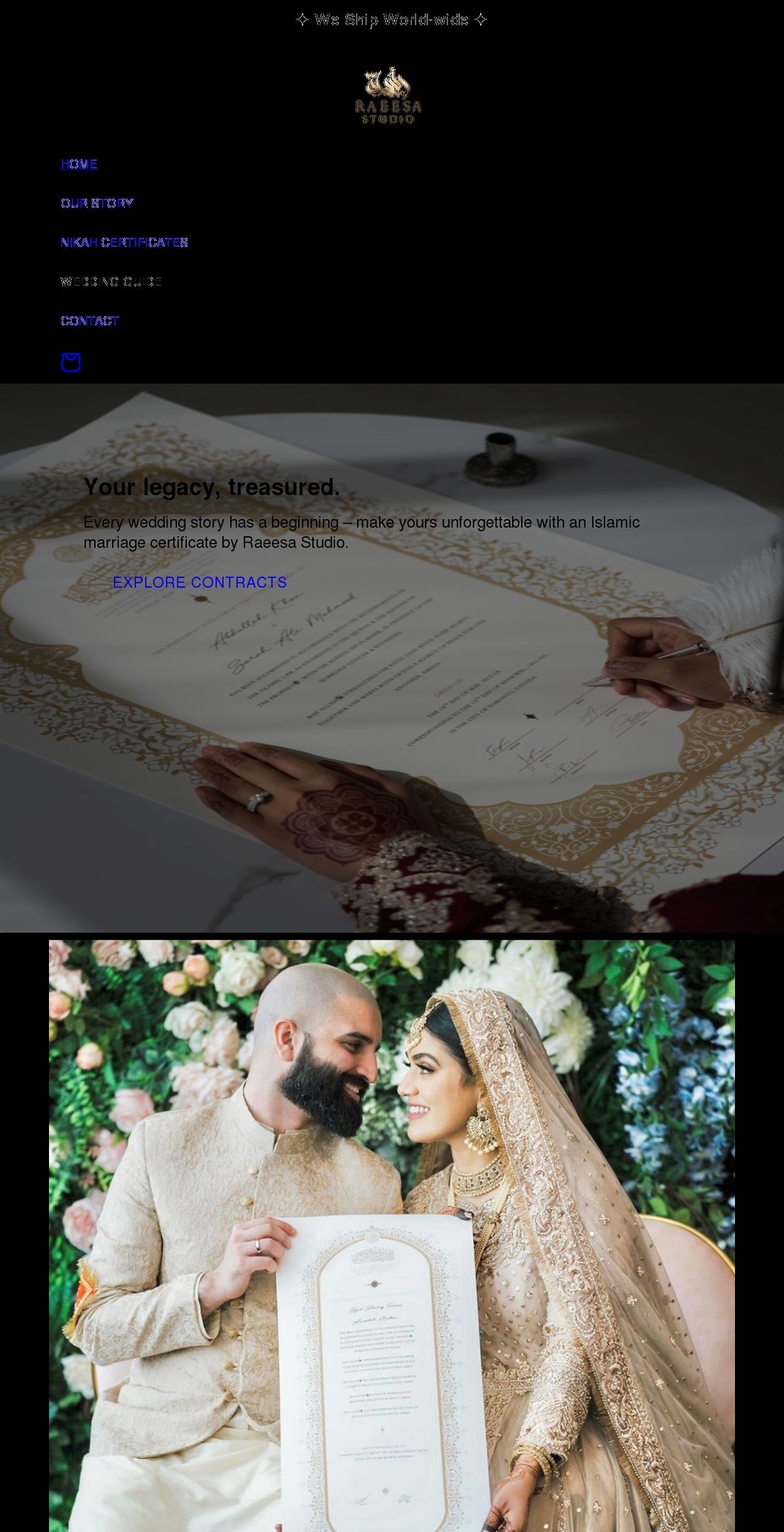 raeesastudio.com shopify website screenshot