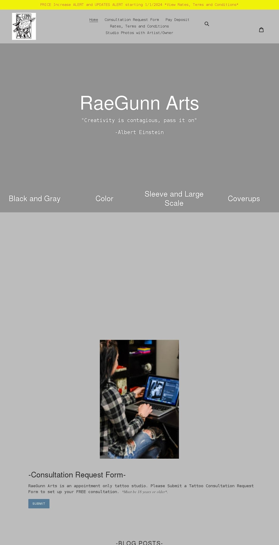 raegunnarts.com shopify website screenshot