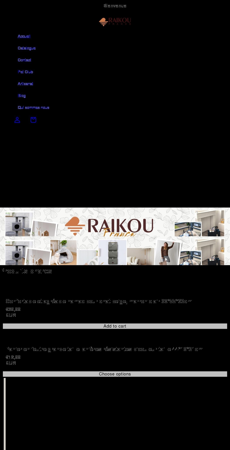 raikou-shop.com shopify website screenshot