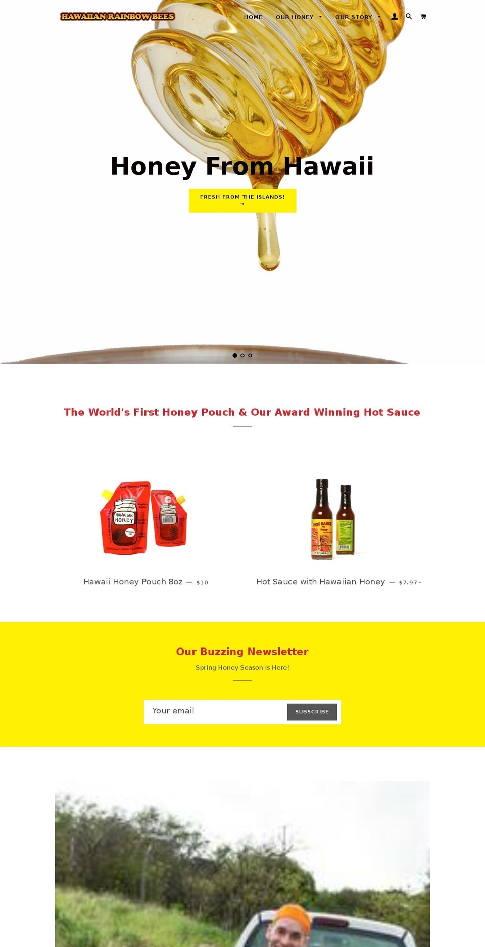 rainbowbees.com shopify website screenshot