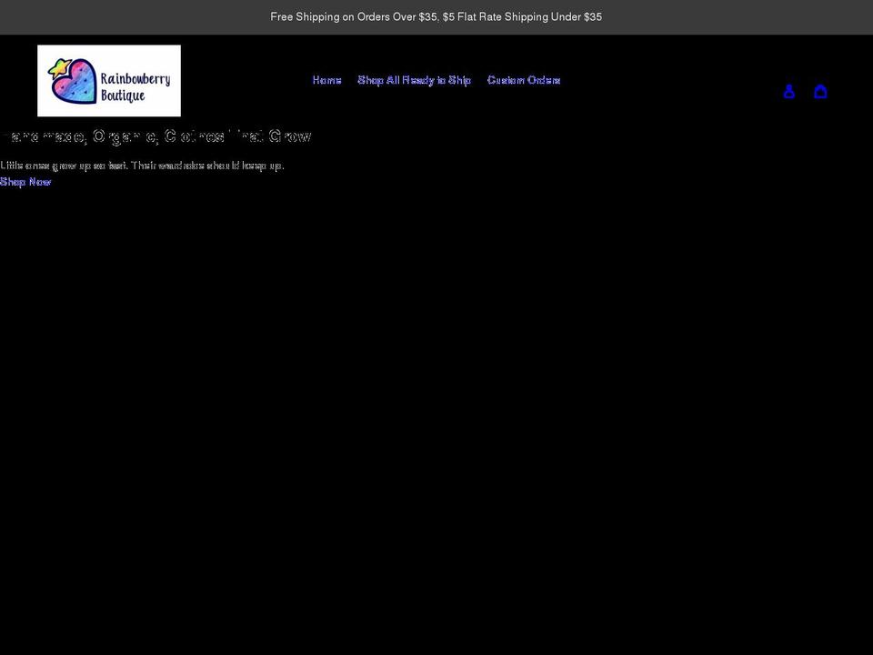 rainbowberryboutique.com shopify website screenshot