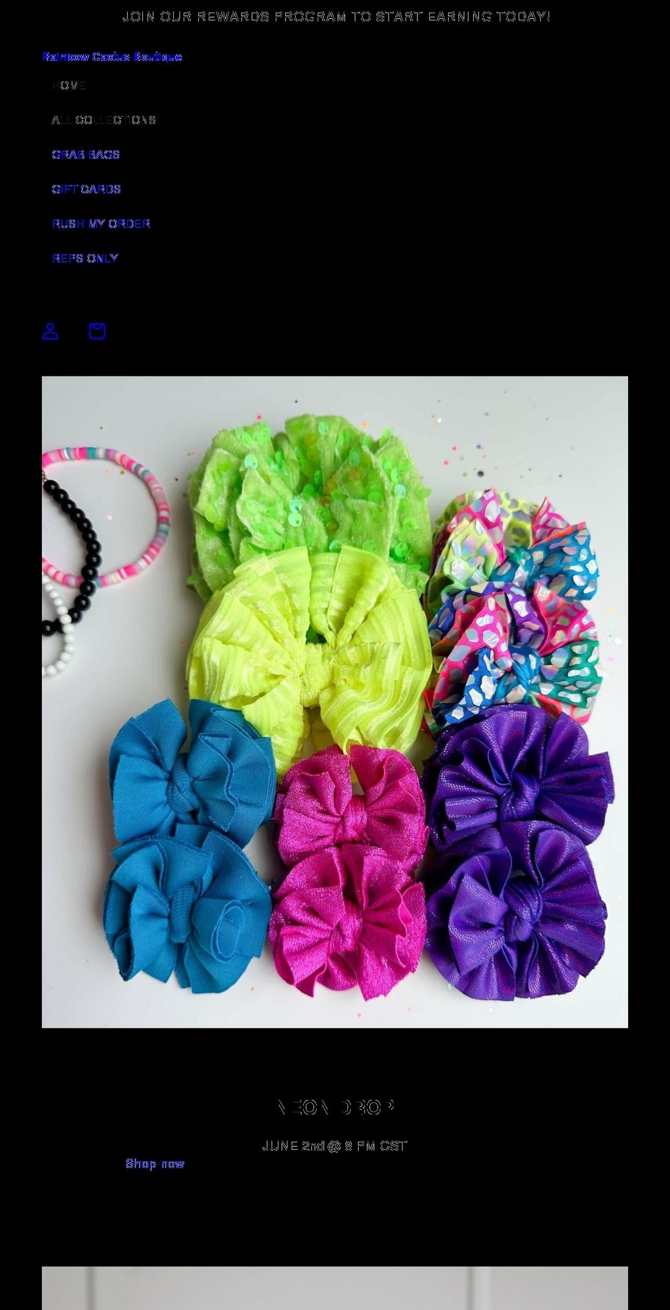 rainbowcactusboutique.com shopify website screenshot