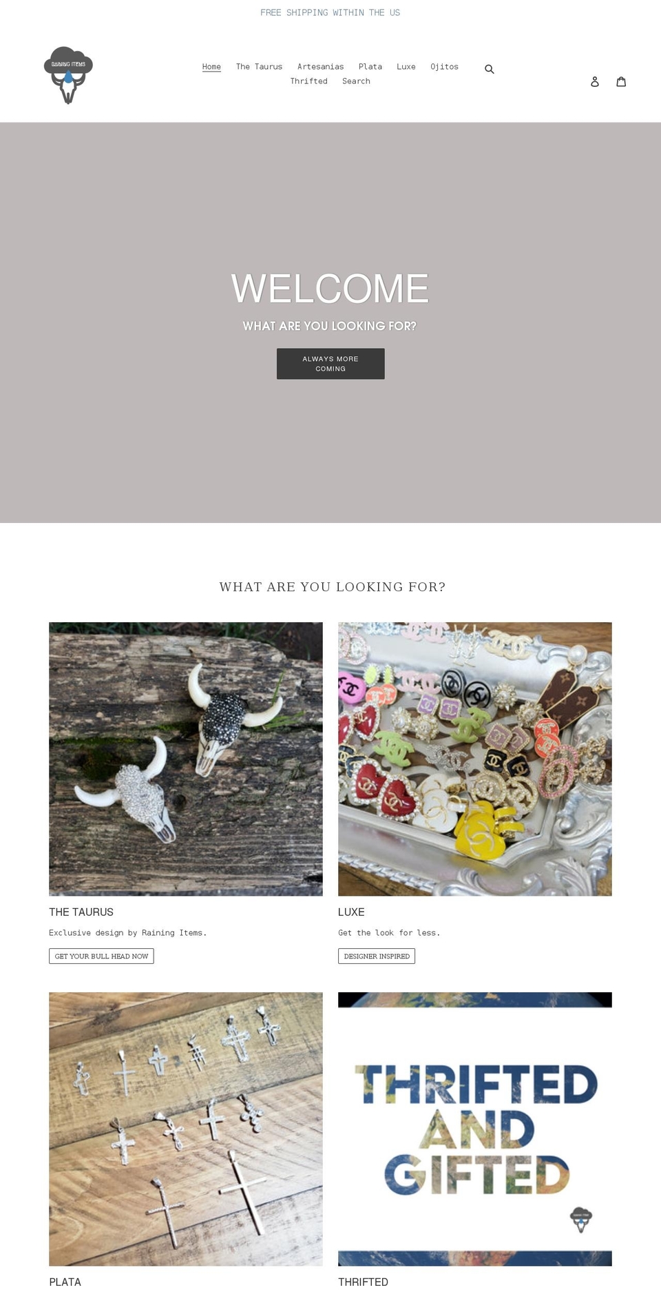 rainingitems.com shopify website screenshot