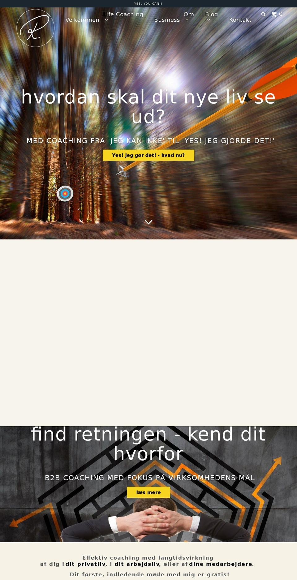 randiplesner.dk shopify website screenshot