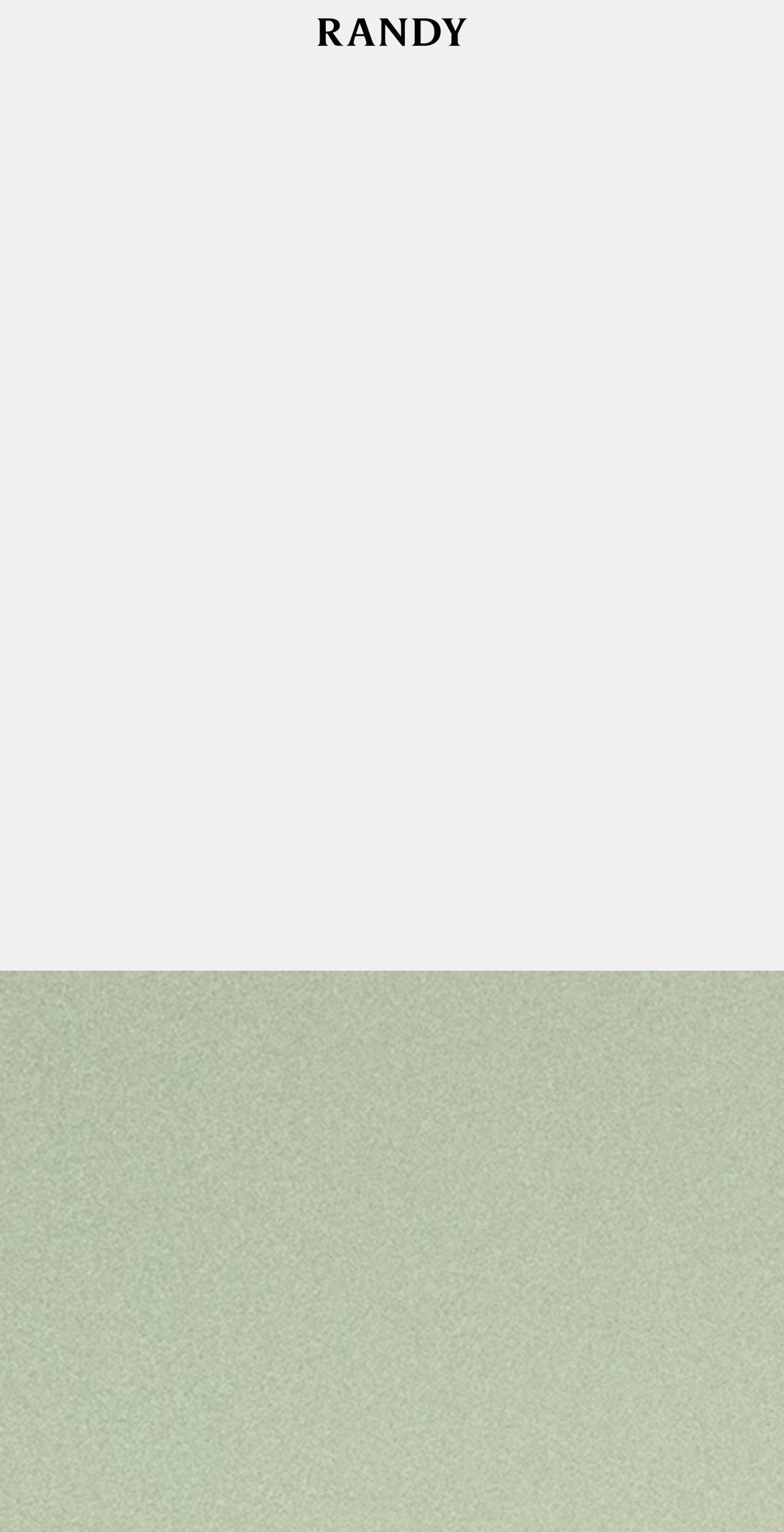 randycollection.com shopify website screenshot