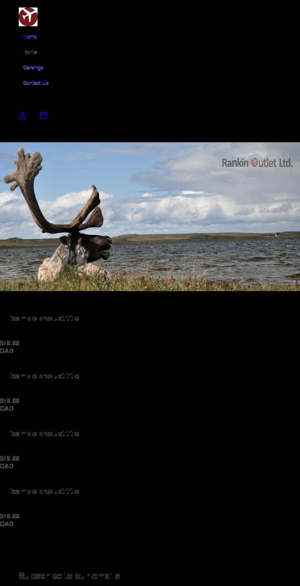 rankinoutlet.com shopify website screenshot