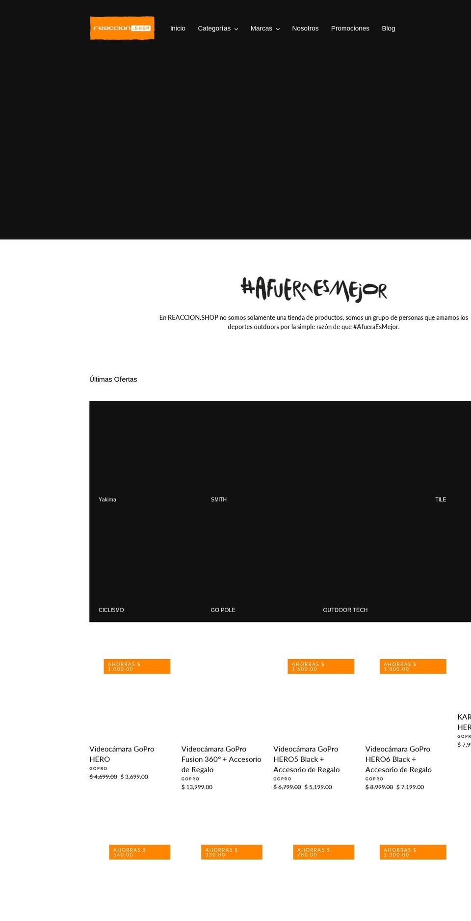 raoutdoorstore.com shopify website screenshot