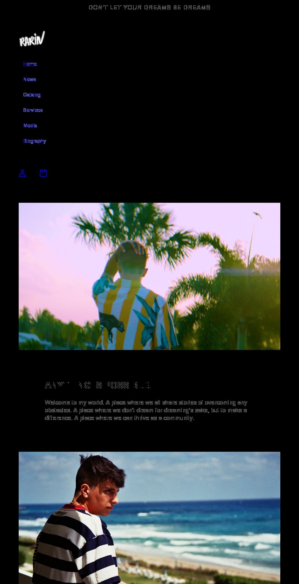 rarinmusic.com shopify website screenshot