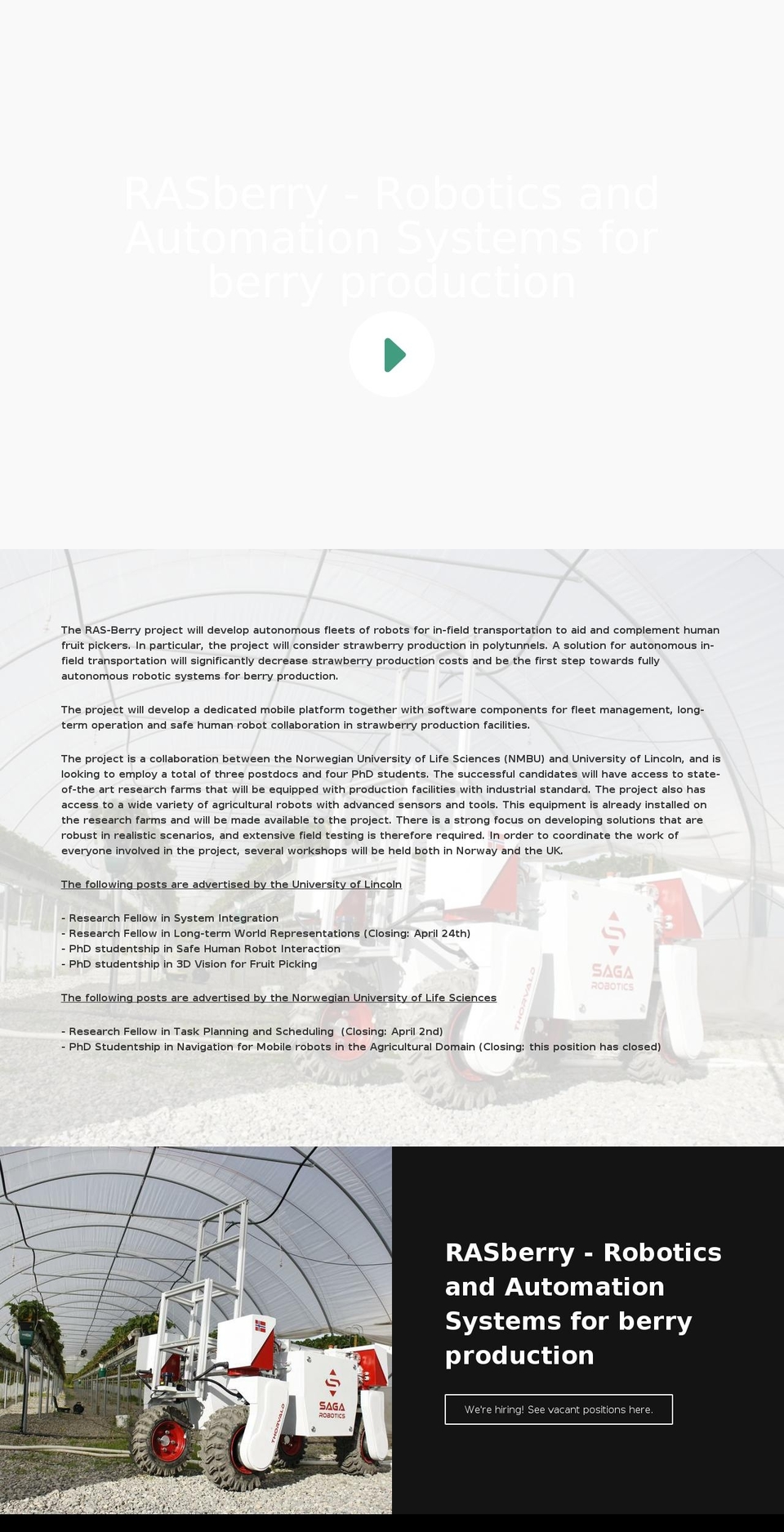 rasberryproject.com — Shopify storefront screenshot
