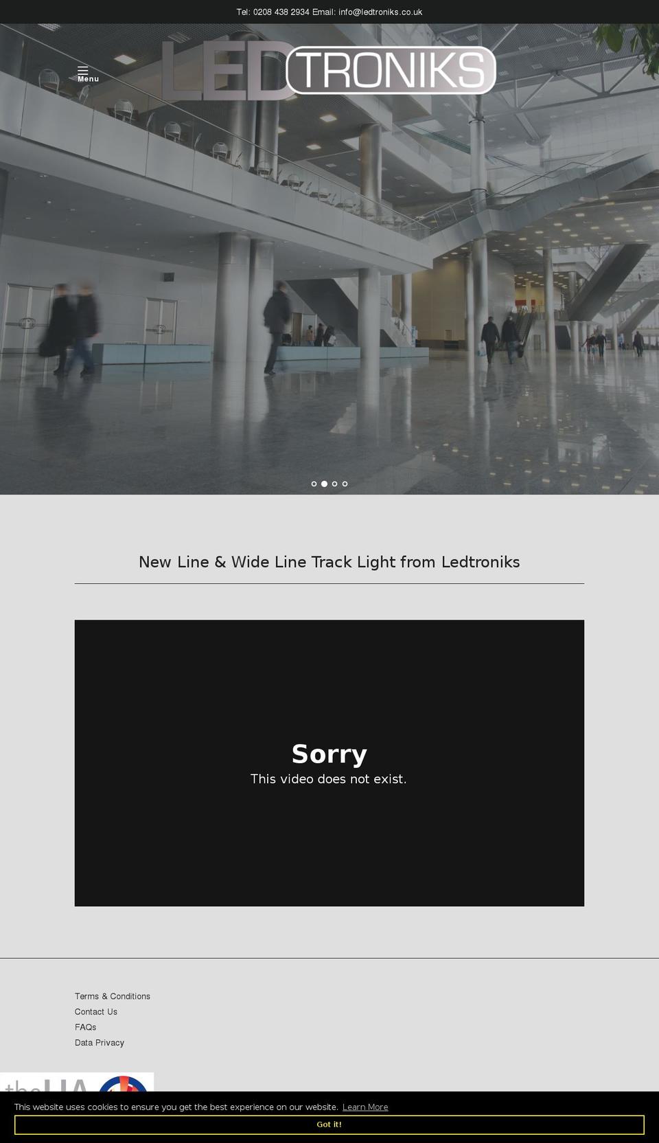rasmilighting.com — Shopify storefront screenshot