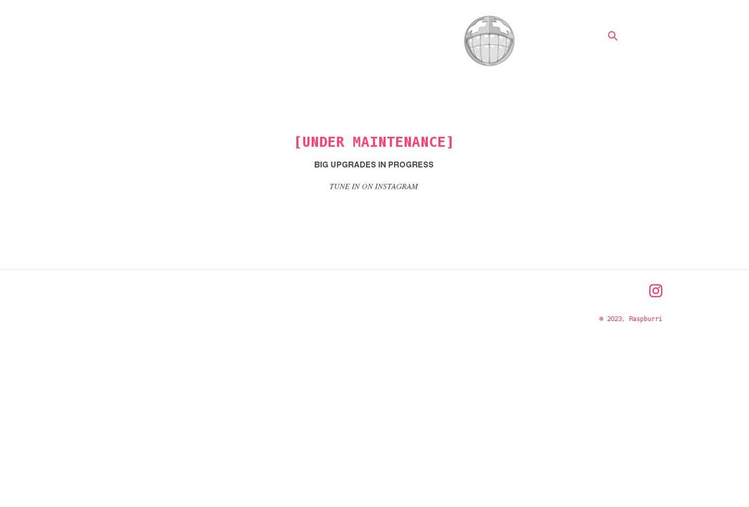 raspburri.com shopify website screenshot