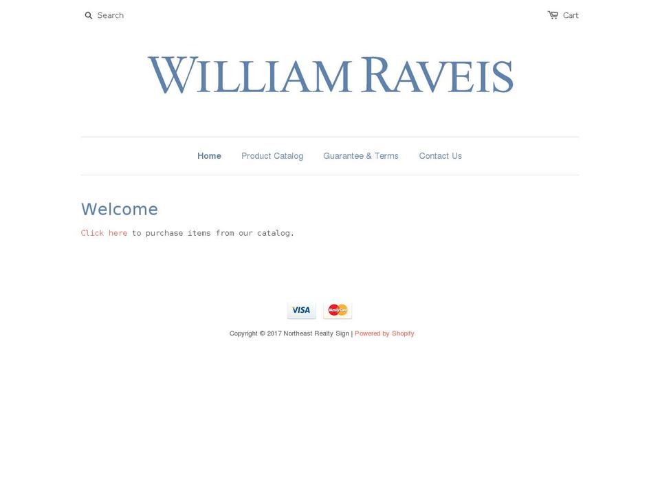 raveissigns.com shopify website screenshot