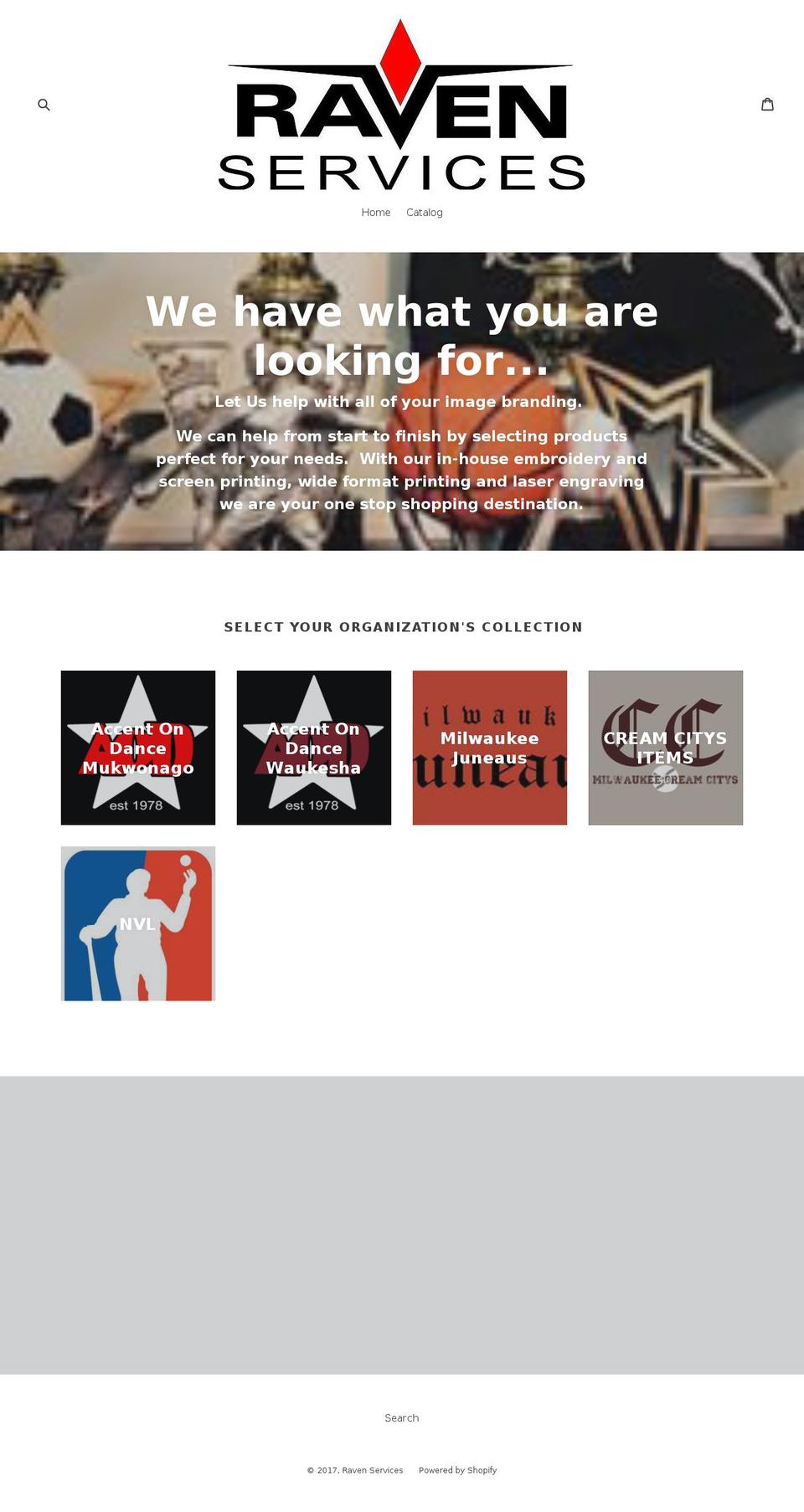 raven-services.com shopify website screenshot