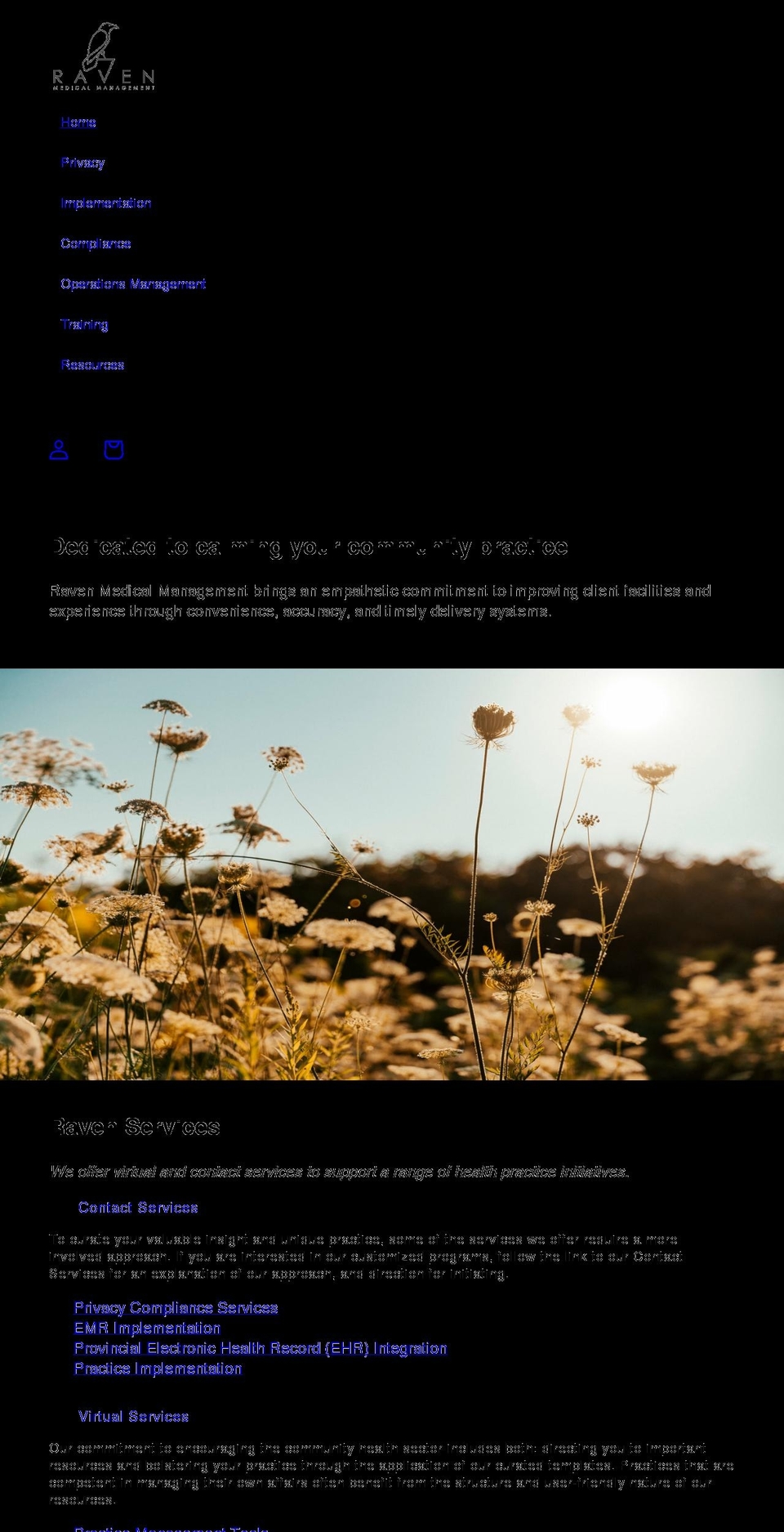 ravenmedicalmgmt.com shopify website screenshot