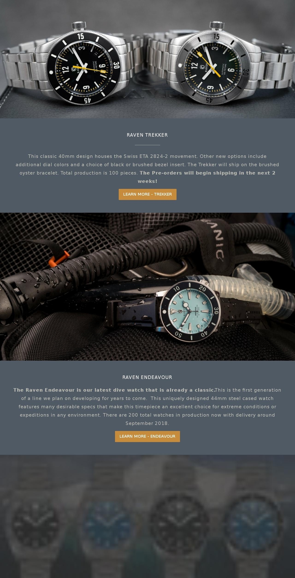 ravenwatches.com — Shopify storefront screenshot
