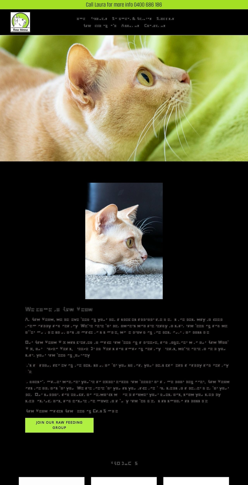 rawmeow.com.au shopify website screenshot