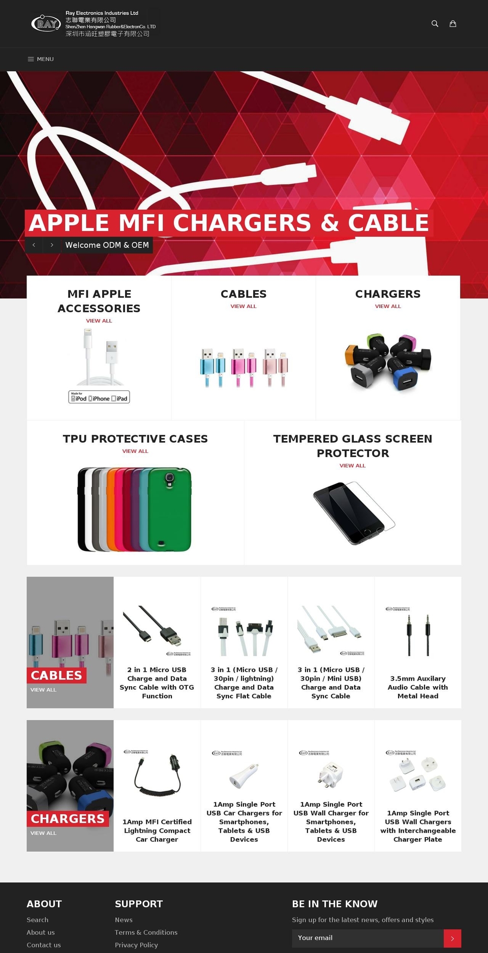 rayelechk.com — Shopify storefront screenshot