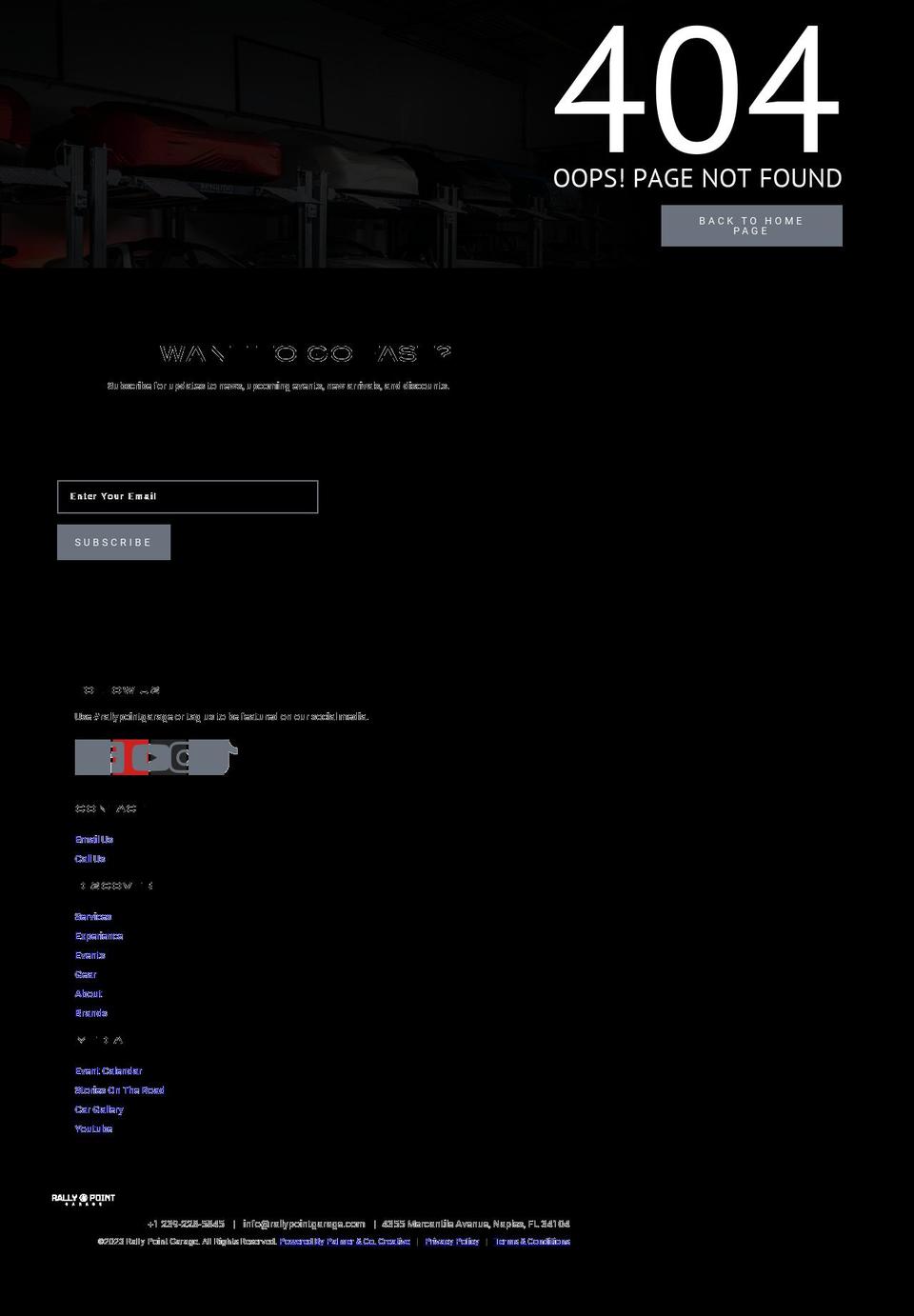 rayvoltebikes.com — Shopify storefront screenshot